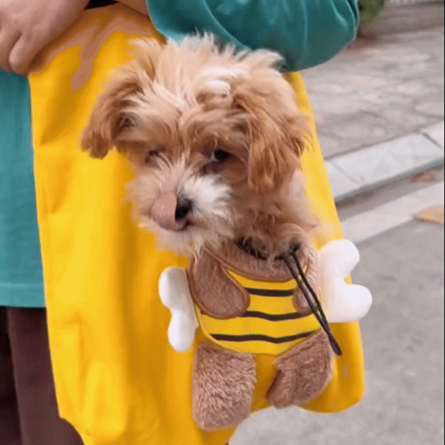 GIF démonstration du sac Bacobuddy